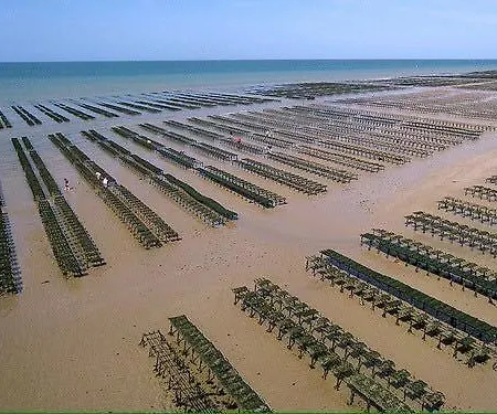 Anglais 1er Etage Centre Grande Terrasse Et Jardin Amenage Commun Proche Du Plages Du Debarquement- Parking Gratuit A Proximite *